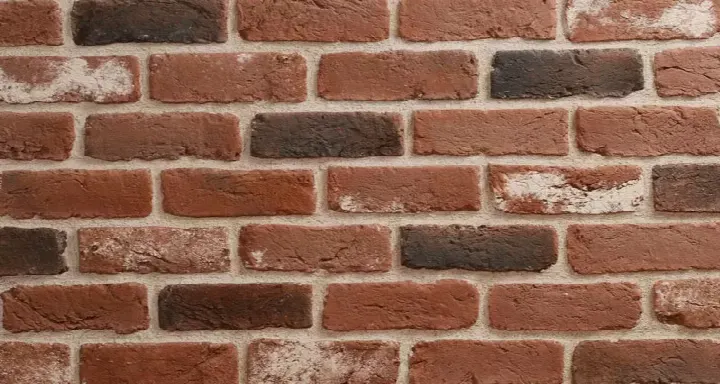 Old Brick Rojo kültür tuğlası