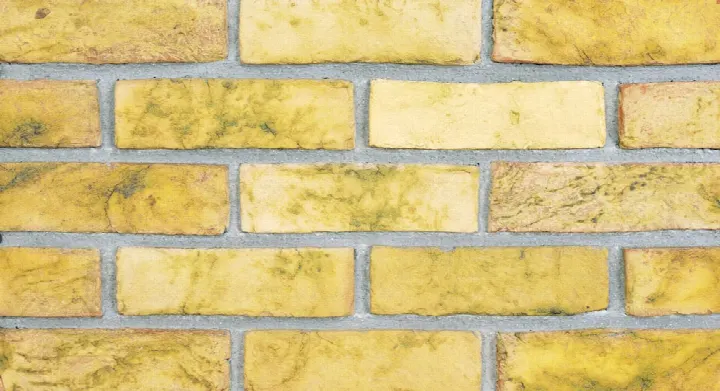 Premium Winsorn el yapımı tuğla